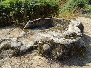 Ramulia